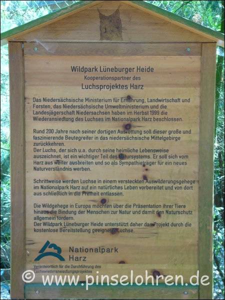 Der Wildpark Lneburg untersttzt den Nationalpark Harz bei der Auswilderung von Luchsen und stellt kostenlos Tiere zur Verfgung.